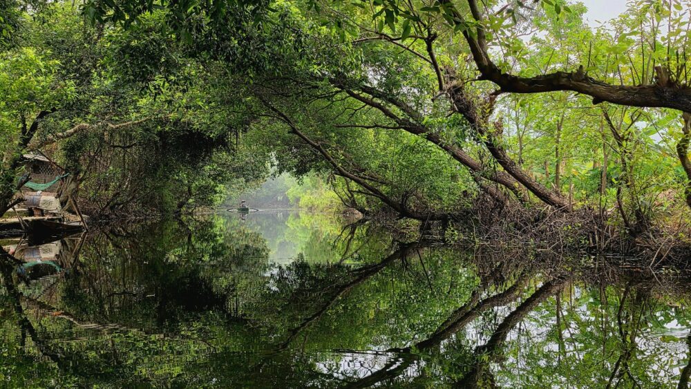 A calm, tree-canopied river with perfect reflections and a small boat in the background.