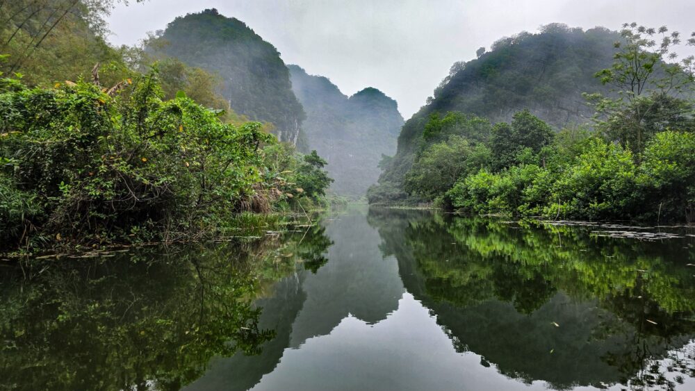 ​A calm river reflecting lush green karst mountains and dense tropical vegetation under a misty, overcast sky in a scenic landscape like Tam Cốc, Vietnam.