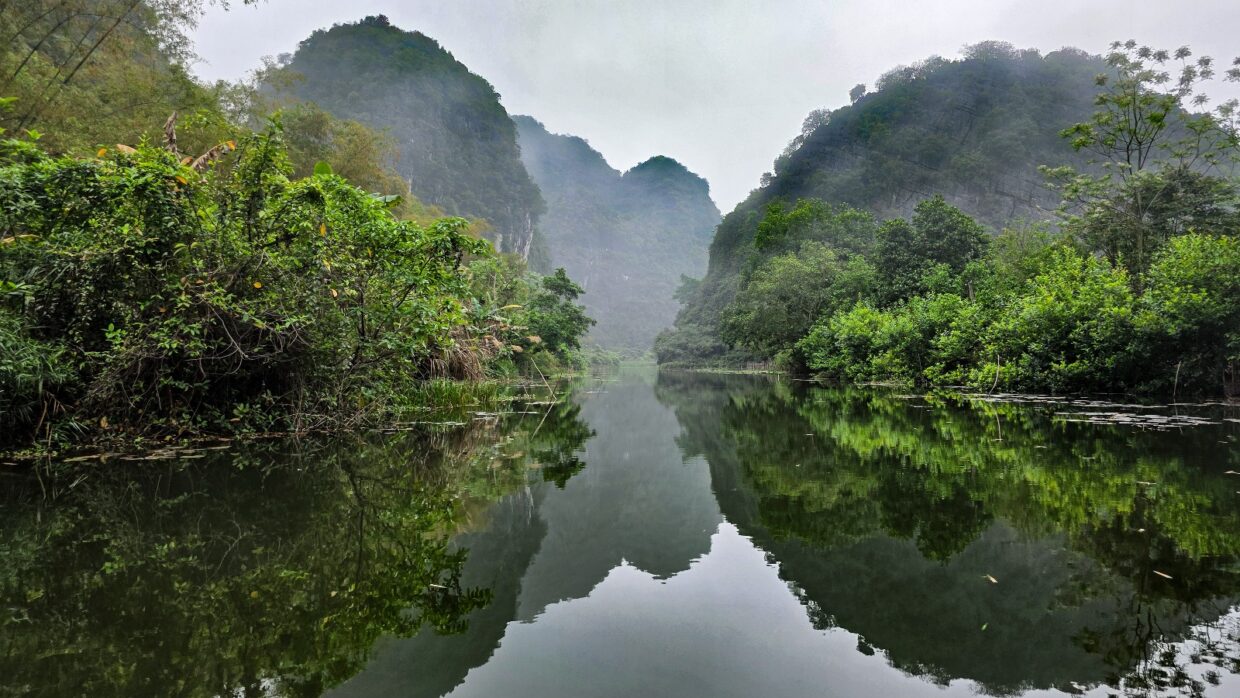​A calm river reflecting lush green karst mountains and dense tropical vegetation under a misty, overcast sky in a scenic landscape like Tam Cốc, Vietnam.